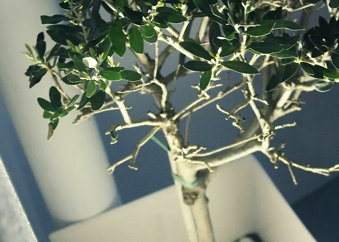 Akron Cliff Villa Fíra